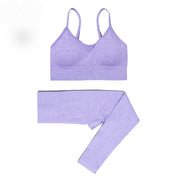 2 Piece Set Seamless Women Gym Clothes Workout Yoga Set Fitness Sports Suit Short Sleeve Crop Tops High Waist Shorts Leggings