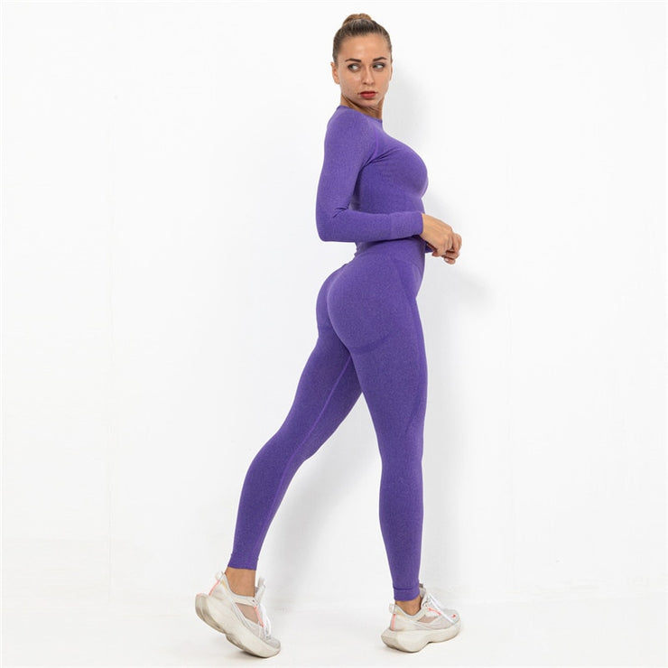 Seamless Yoga Set Fitness Clothes Gym Set Workout Women Long Sleeve Shirts and High Waist Leggings Sports Suit Crop Tops Pants