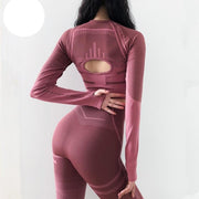 Peeli 2 PC Sports Set Seo Seamless Yoga Set Sport Suit for Women Long Sleeve Gym Crop Top High Waist Leggings Fitness Gym Suit